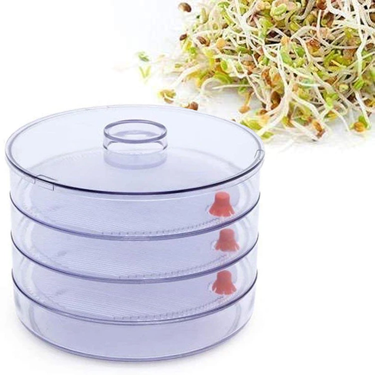 0070 Plastic 4 Compartment Sprout Maker, White