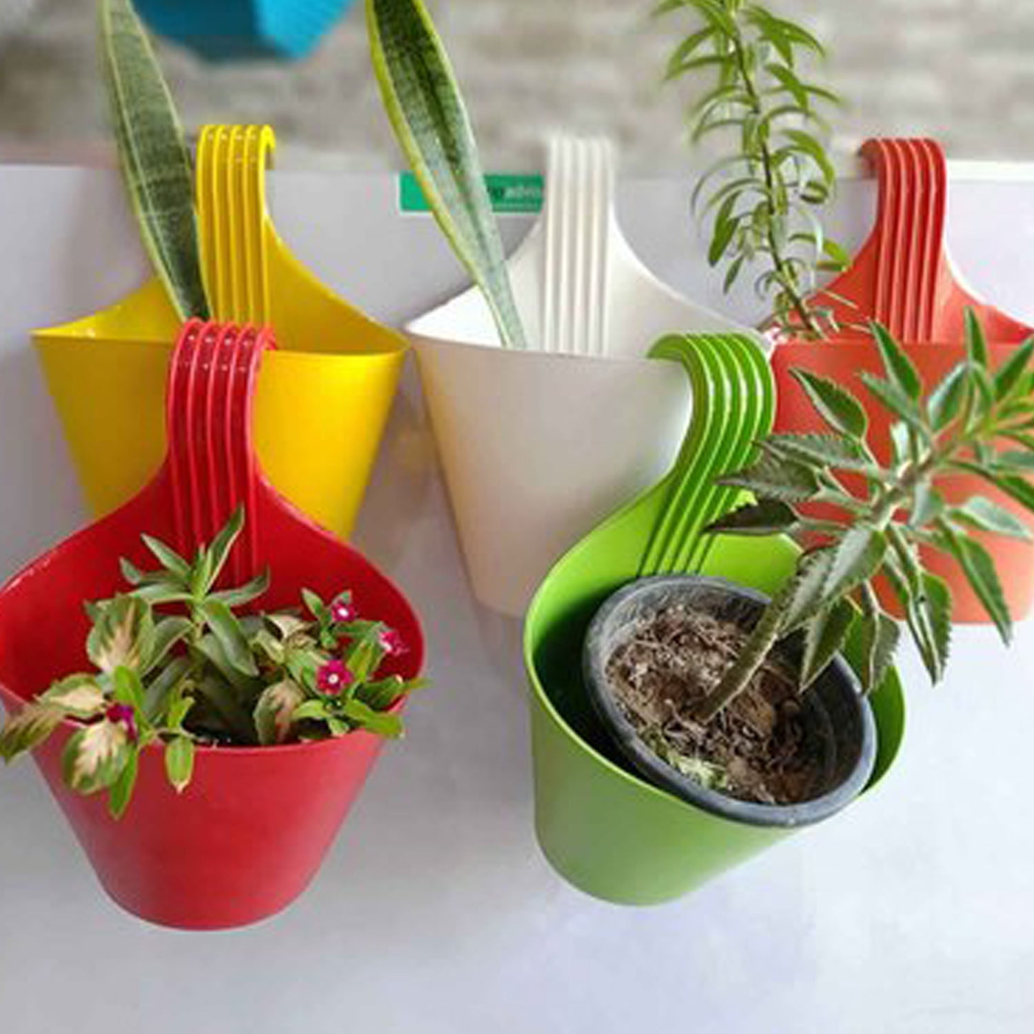Hanging Planter Pot used for storing and holding plants and flowers in it and this is widely used in in all kinds of gardening and household places etc.