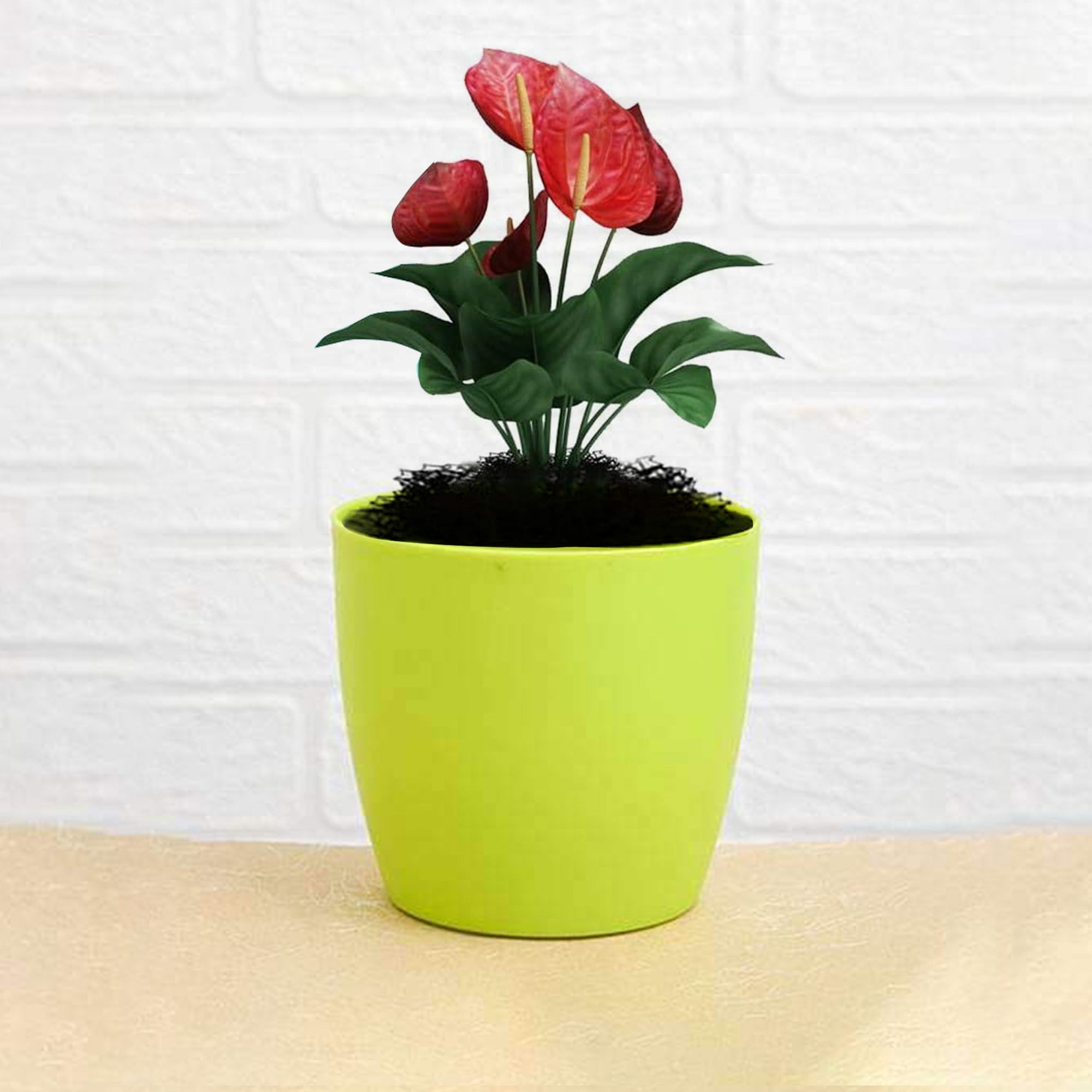 Flower Pots Round Shape For Indoor/Outdoor Gardening