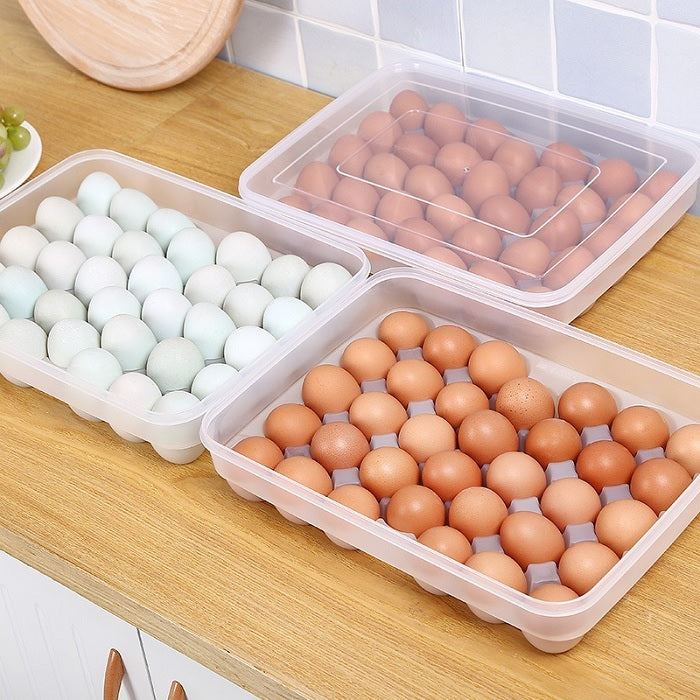 34 Grid Plastic Egg Storage Box With Lid (Minor Damage)