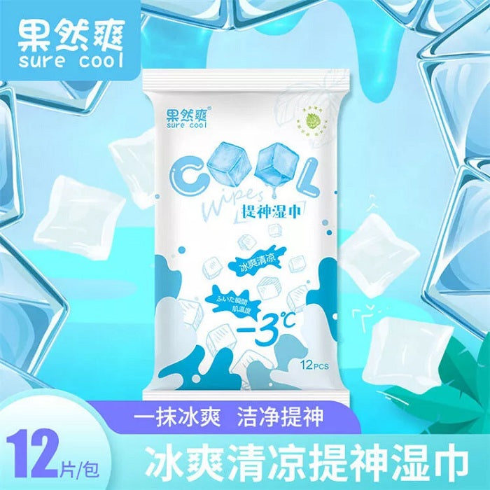 12 Pcs Cool Wet Wipes (Pack of 2)