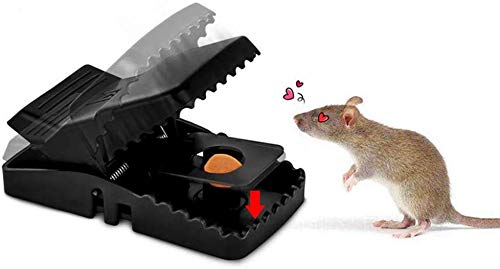 Reusable Plastic Portable Rat/Mice/Mouse Trap