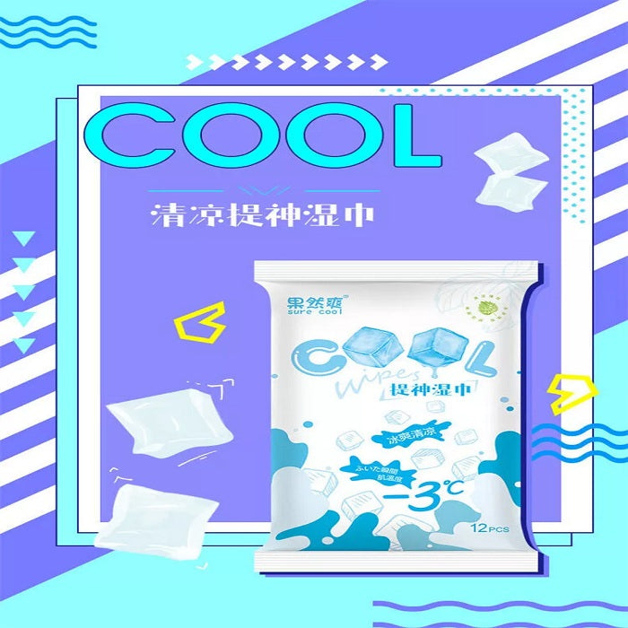 12 Pcs Cool Wet Wipes (Pack of 2)