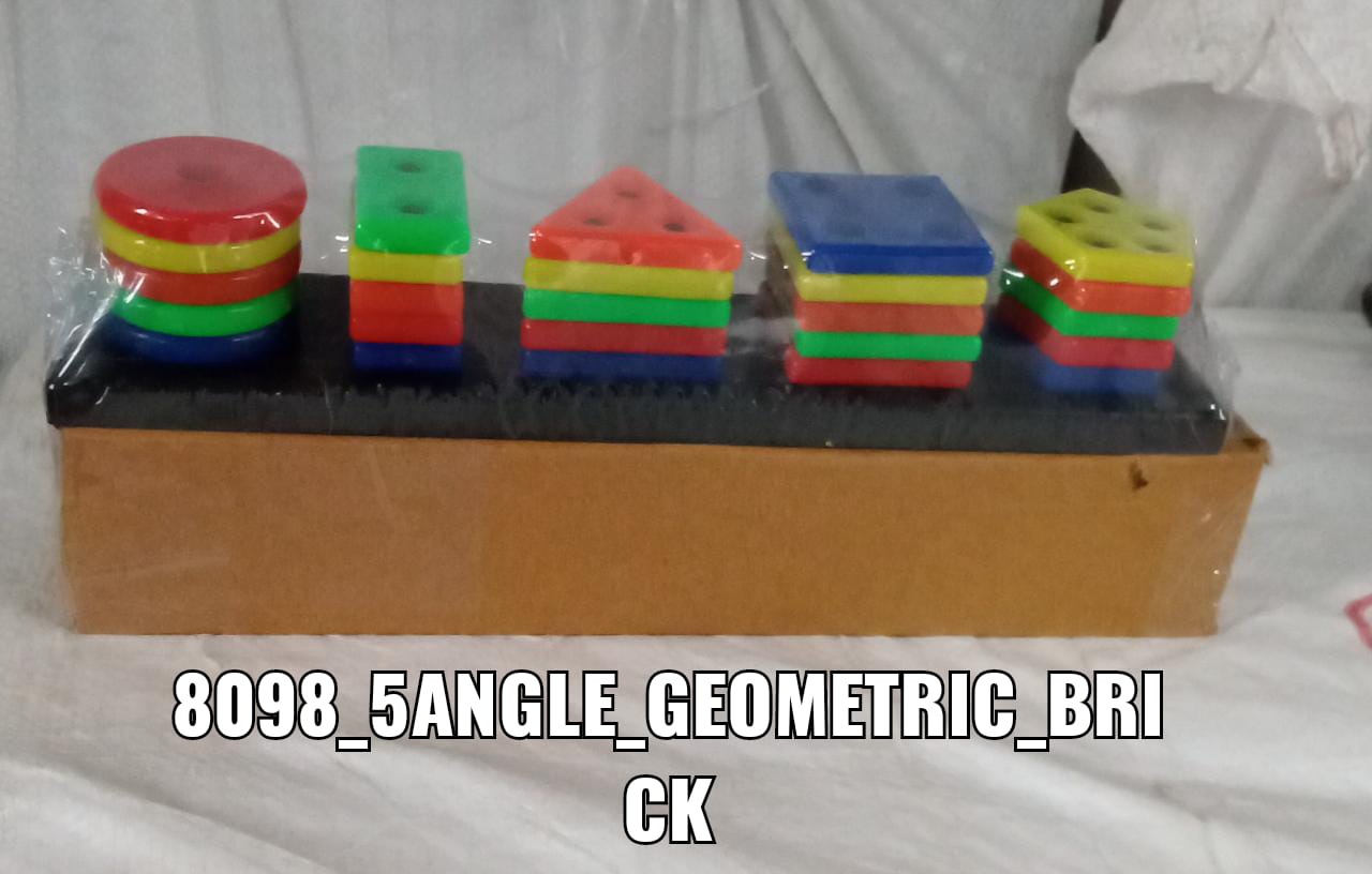 8098 Geometric Brick - 5 Angle Matching Column Blocks for Kids - Preschool Educational Learning Toys.