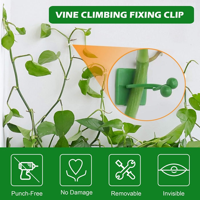 30 Pcs Plant Climbing Fixing Clip Large Size