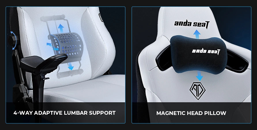 magnetic head pillow and lumbar support