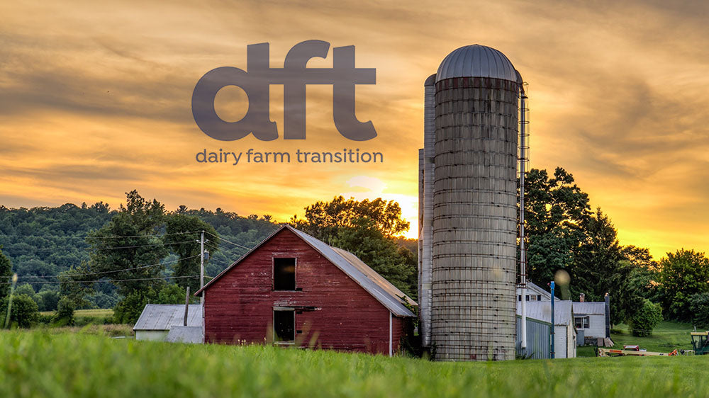 Dairy Farm Transition