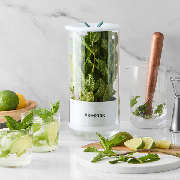 Art and Cook's Indoor Herb Keeper with Mint 