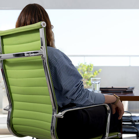 Lumbar Support Cushion Gifts for Boss