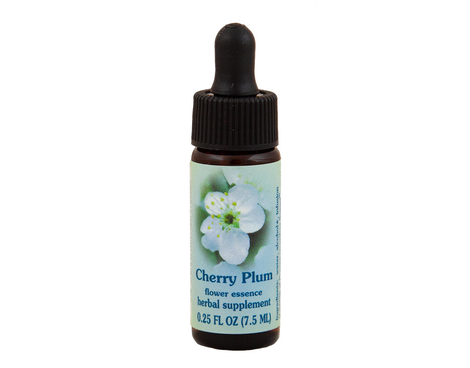 Cherry Plum Blossom Hydrosol - Essential Oil Apothecary