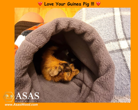 cuddle sack for your Guinea Pig