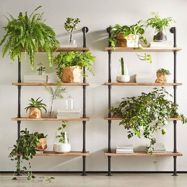 A Forest Weather In The House: Urban Jungle Trend