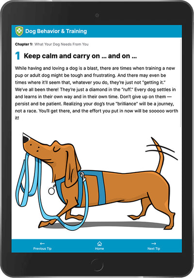 Dog Training 101: Essential Tools You'll Need - Vetstreet