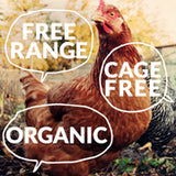 Free range, cage free, organic:  What kind of eggs should I get?
