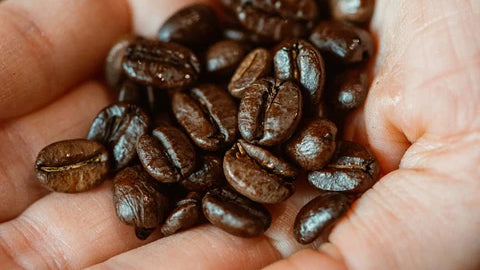 Pourquoi éviter les cafés noirs dans les cafetières à moulin intégré? –  Brûlerie du Roy