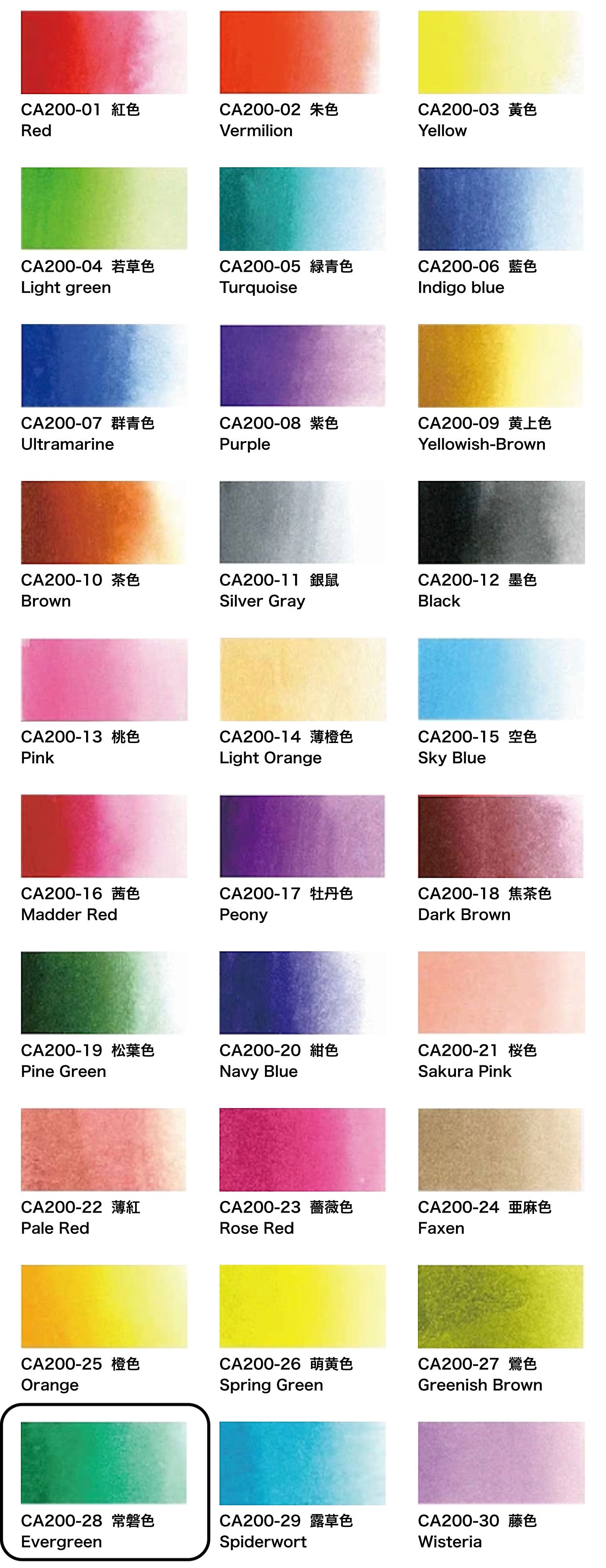 CA200-28 Evergreen Akashiya Watercolor Brush Pen  Japanese Traditional Color あかしや 彩 常磐色
