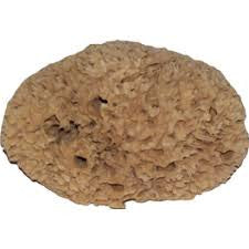 Olde Town Auto Spa Large Natural Sea Sponge