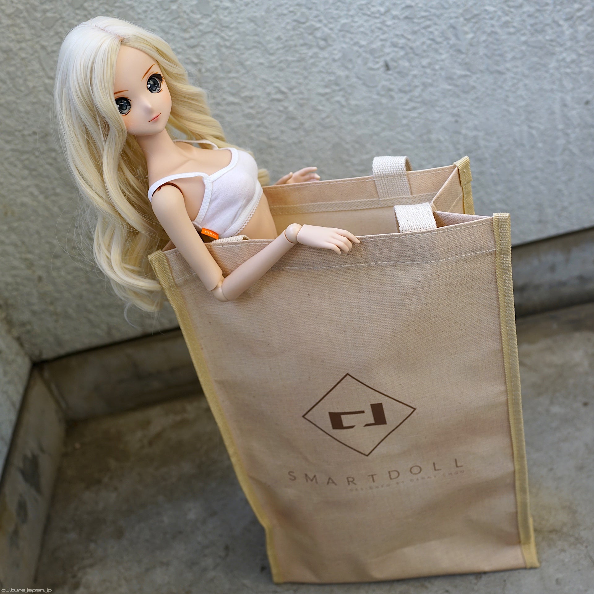 smart doll bag