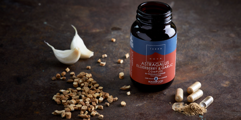 Terranova - astragalus elderberry garlic - blog