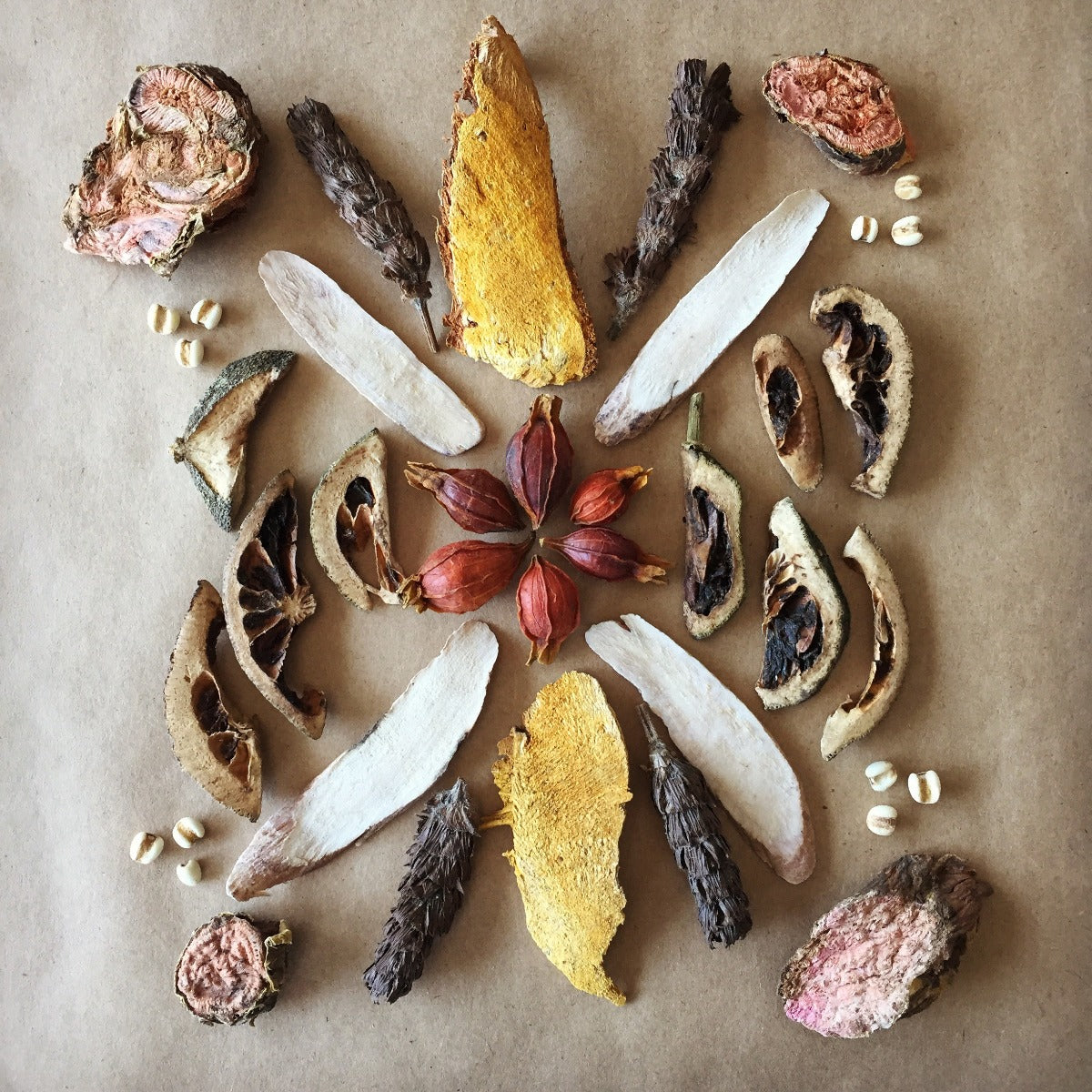 build an herb mandala