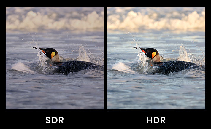 SDR VS HDR