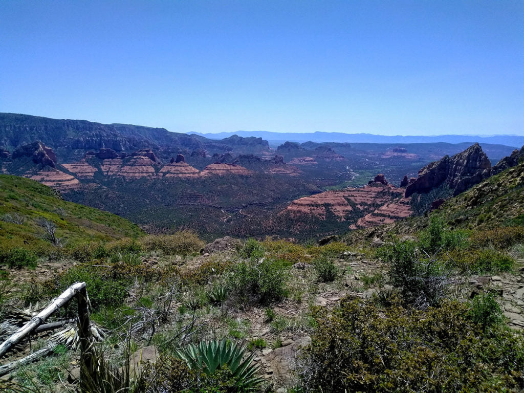 Bear Mountain in Coconino National Forest.