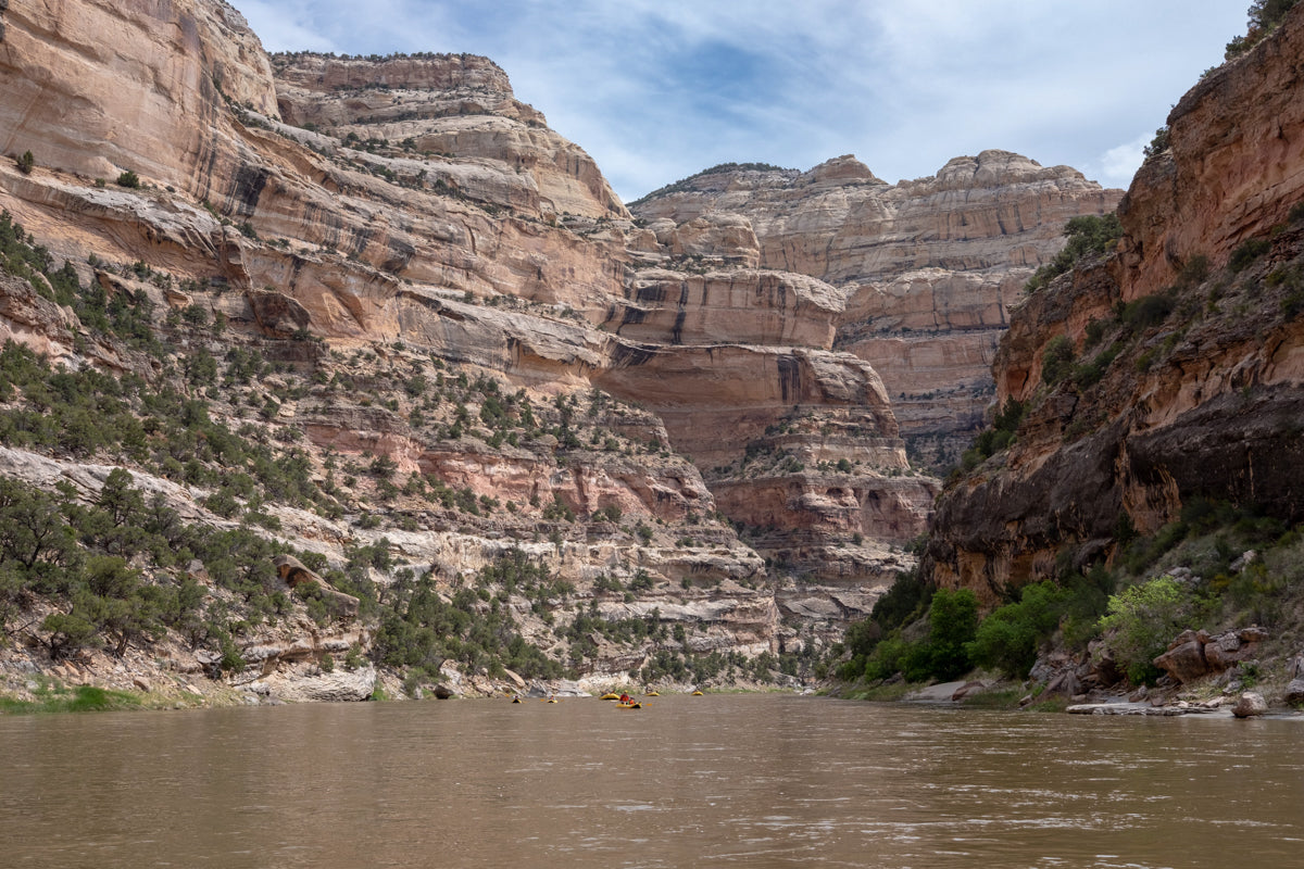 Serenity along the Yampa. 