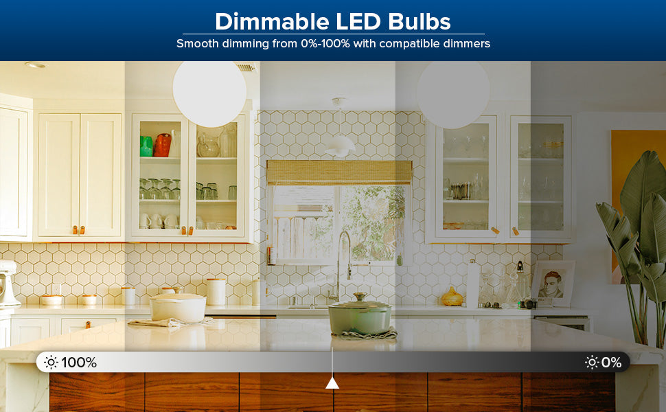 Dimmable A19 17W LED Light Bulb