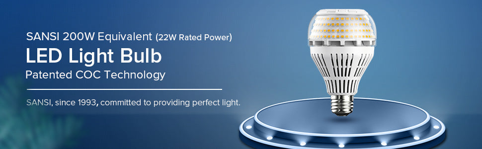 A21 22W LED Light Bulb