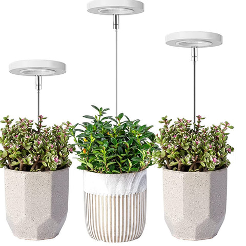 plant grow light that relies on an antenna 