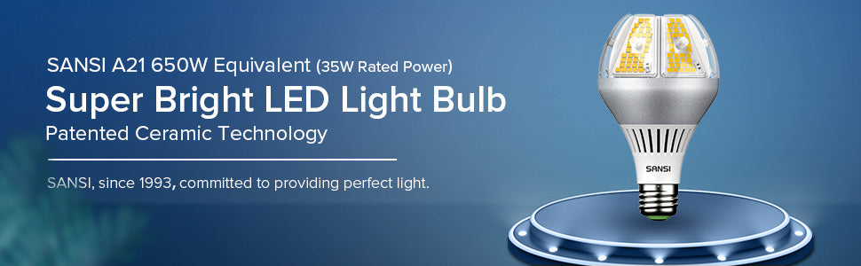 A21 35W LED Light Bulb