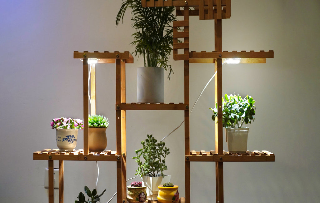 led grow light for shelf