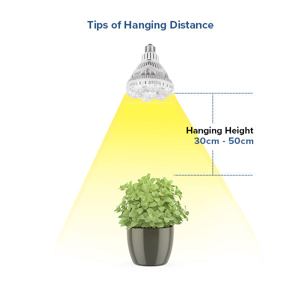 PAR30-36W-Led-Grow-Light-Bulb-hanging-distance