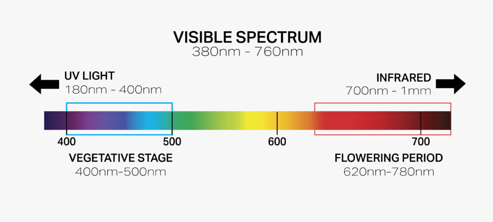 Visible Spectrum cropped