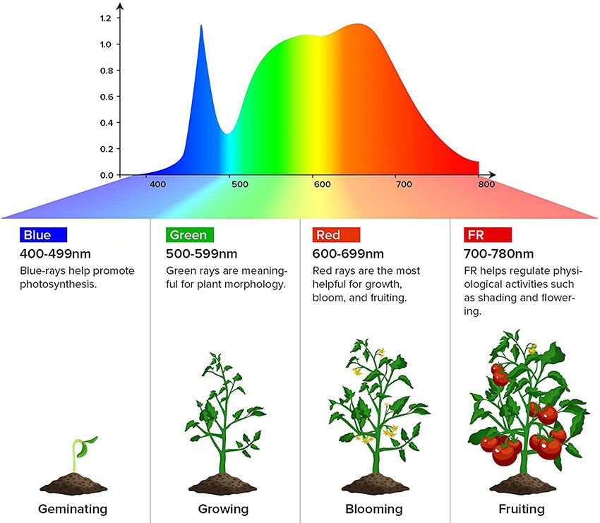 sansi full spectrum grow light