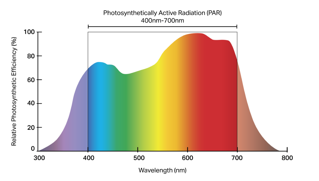 light spectrum range