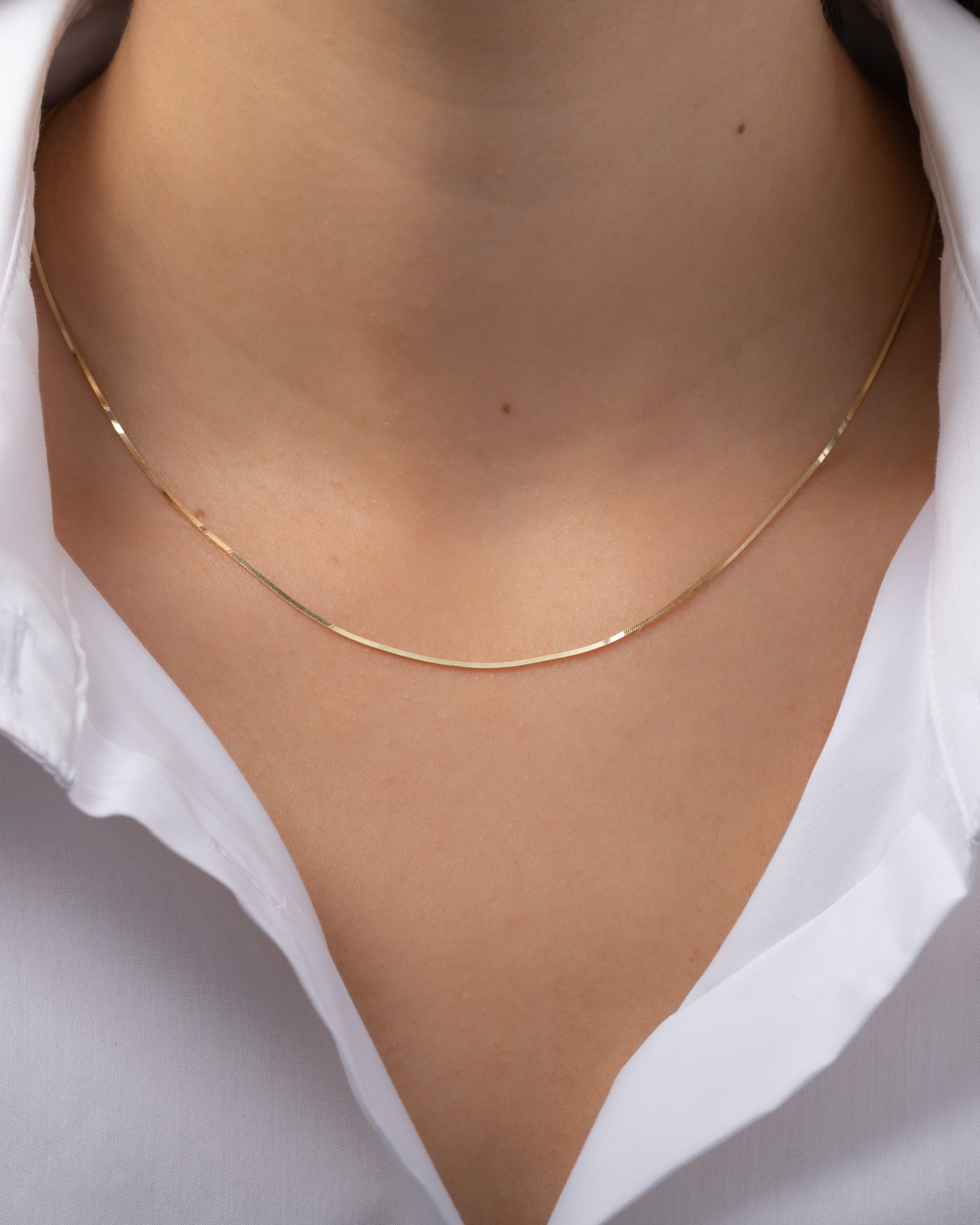 14k Gold Snake Chain Necklace | ZOE LEV