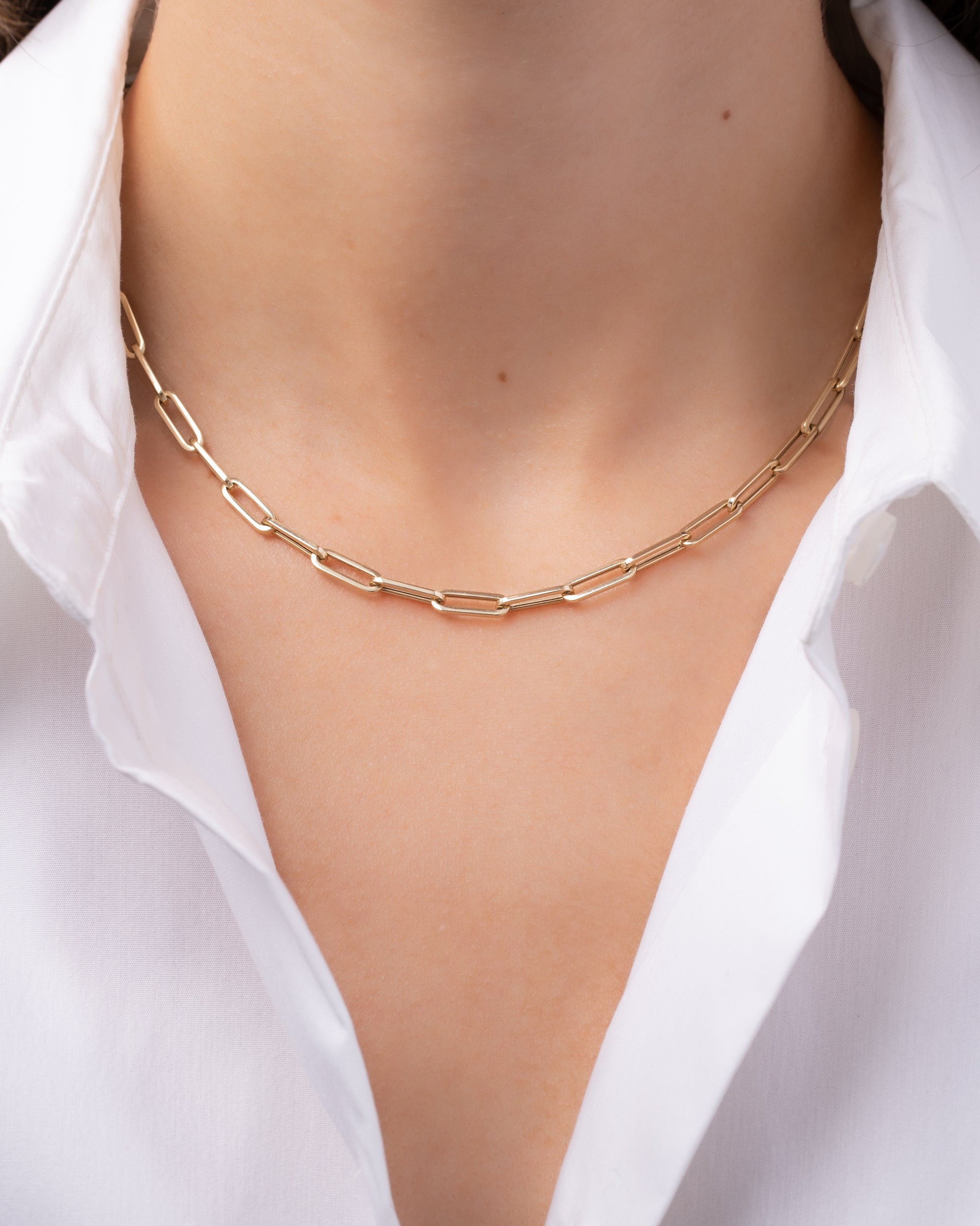 Bujukan Carabiner Lock Necklace with Hollow Paperclip Chain in 14k