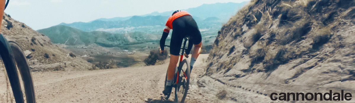 Mann auf einer Fahrradtour in den Bergen mit einem Gravel Bike