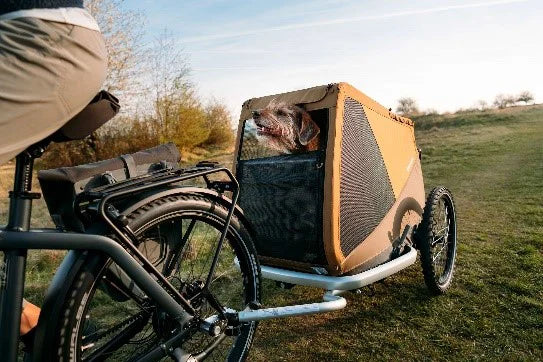 Hund in Fahrrad-Hundeanhänger von der Marke Croozer
