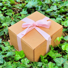 Secret Santa Present, Christmas gift sets for women, Christmas Gift Id –  Plant Box Co