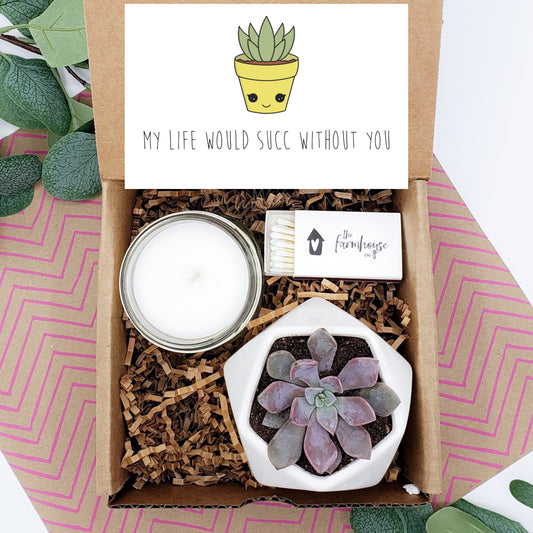 Friendship Gift Box or a Unique Birthday Gift or Galentine's Day Gift! -  TickleMe Plant Company, Inc