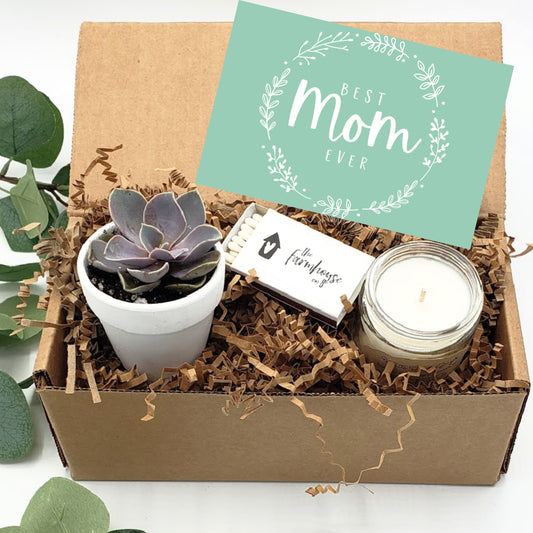 Best Mom Ever, Gift For Mother, Mother's Day Gift, Live Succulents, Ha –  Plant Box Co