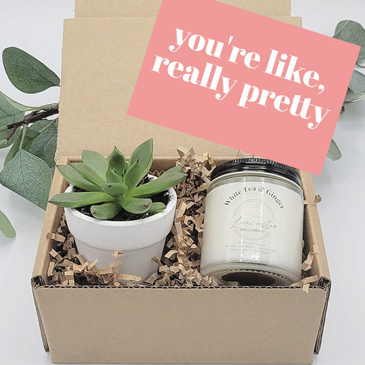 Friendship Gift Box or a Unique Birthday Gift or Galentine's Day Gift! -  TickleMe Plant Company, Inc