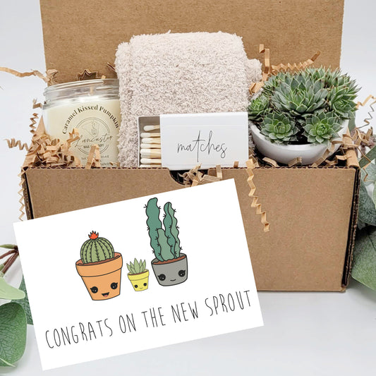 New Parents Gift Succulent Gift Box Parents to Be Ideas New Mom