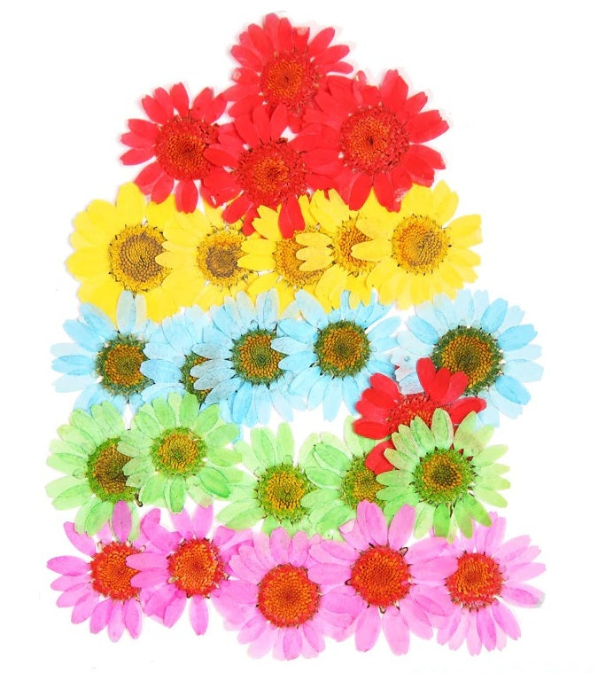 Mixed Dry Pressed Flowers Dried Natural Flowers For Resin Crafts Jew Khushi Handicrafts