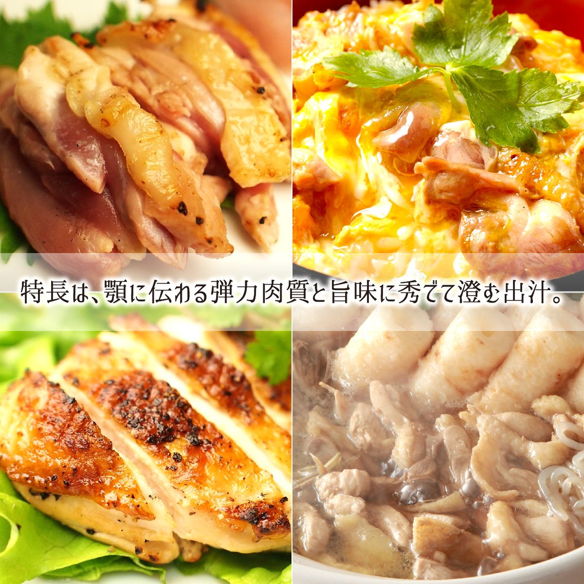 ☆大人気商品☆ 比内地鶏 雄＆雌 大型 2羽 生肉(正肉 約2.7kg・もつ 約320g) 秋田県大仙市産 むね/もも/ささみ/せせり/手羽先/ 鶏肉 