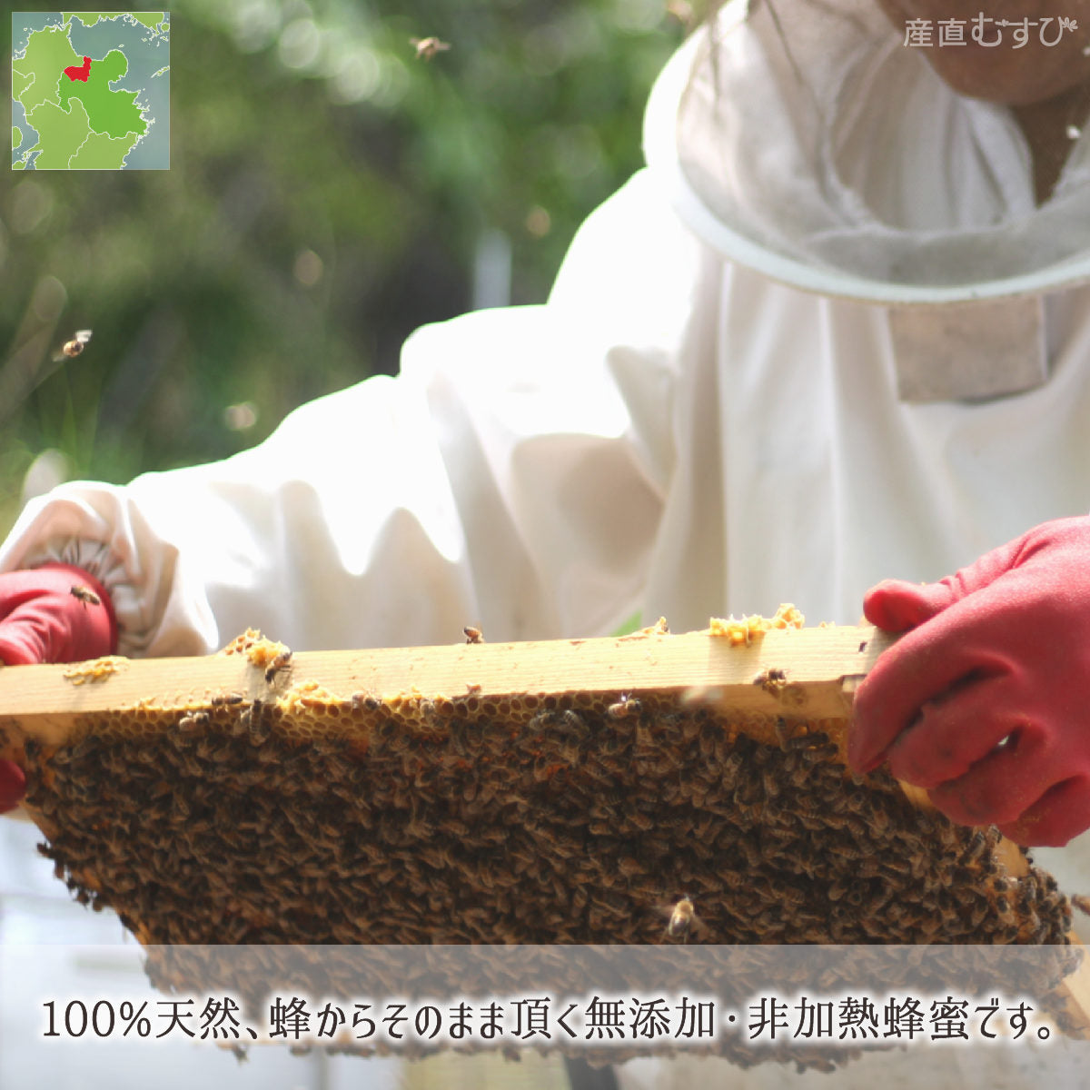 ミカン蜂蜜 糖度80度以上 無添加 非加熱 全原材料国産 天然 純粋蜂蜜