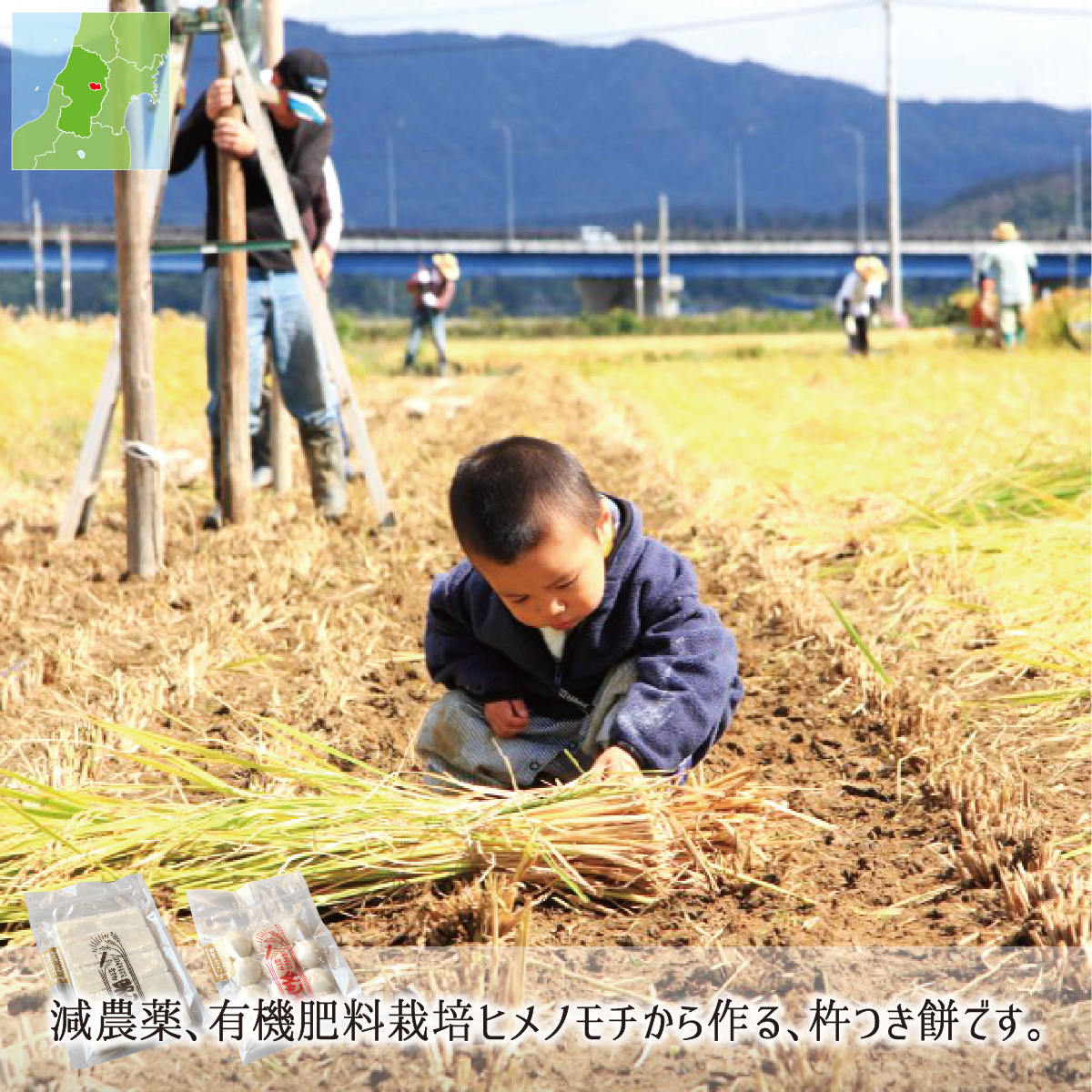 餅,減農薬