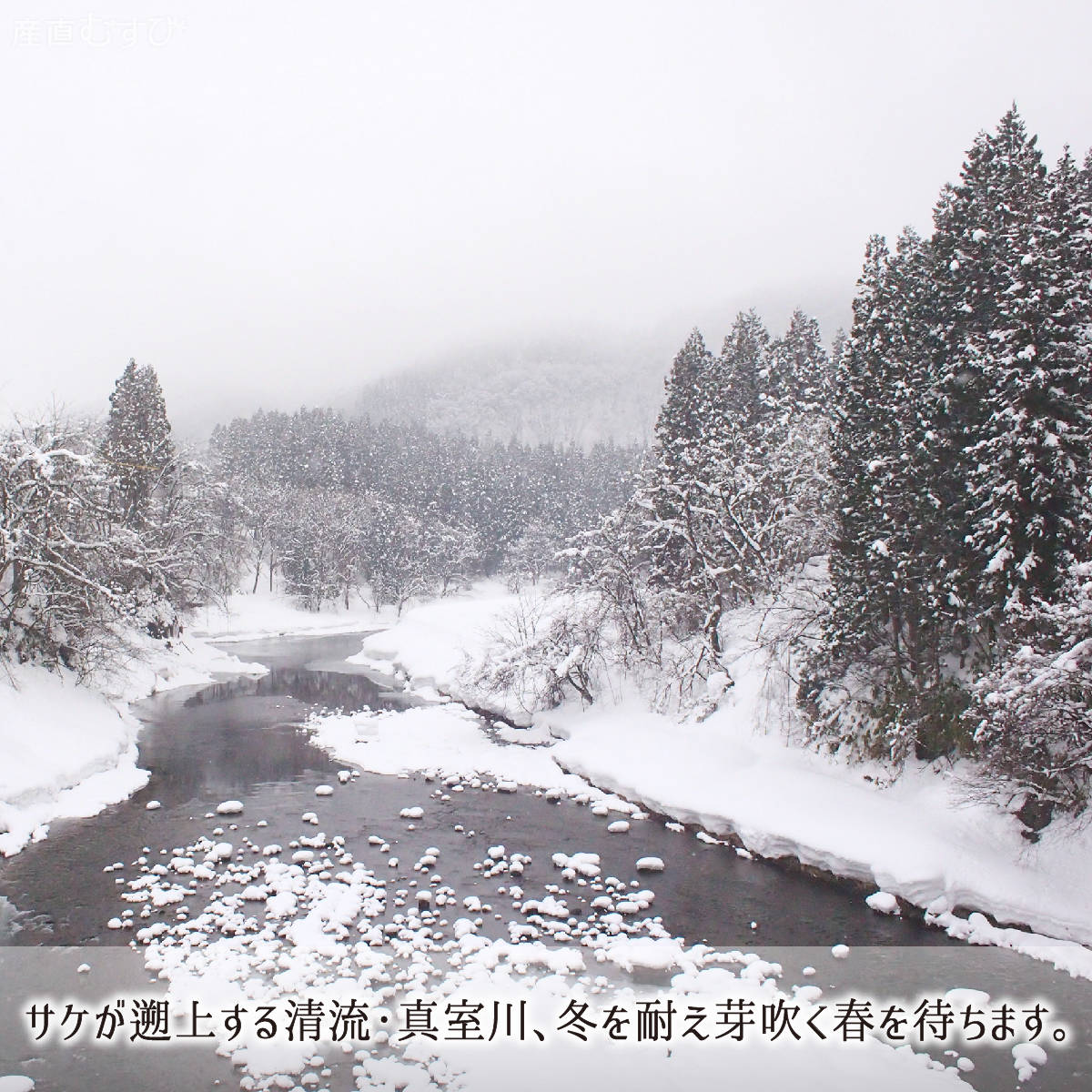 山菜,山形県